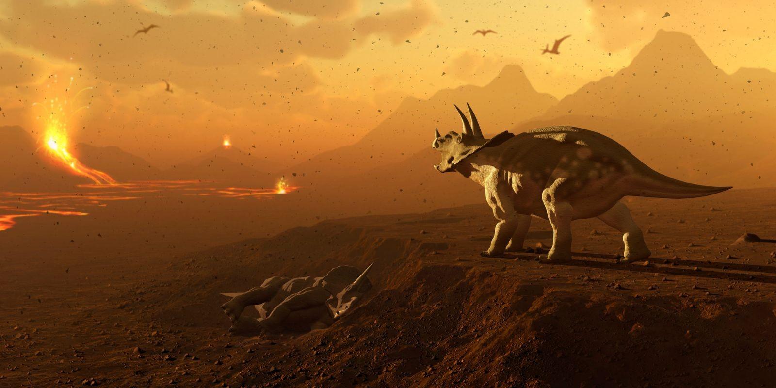 Un Viaje a Través de la Historia de la Tierra: 4.5 Mil Millones de Años de Evolución